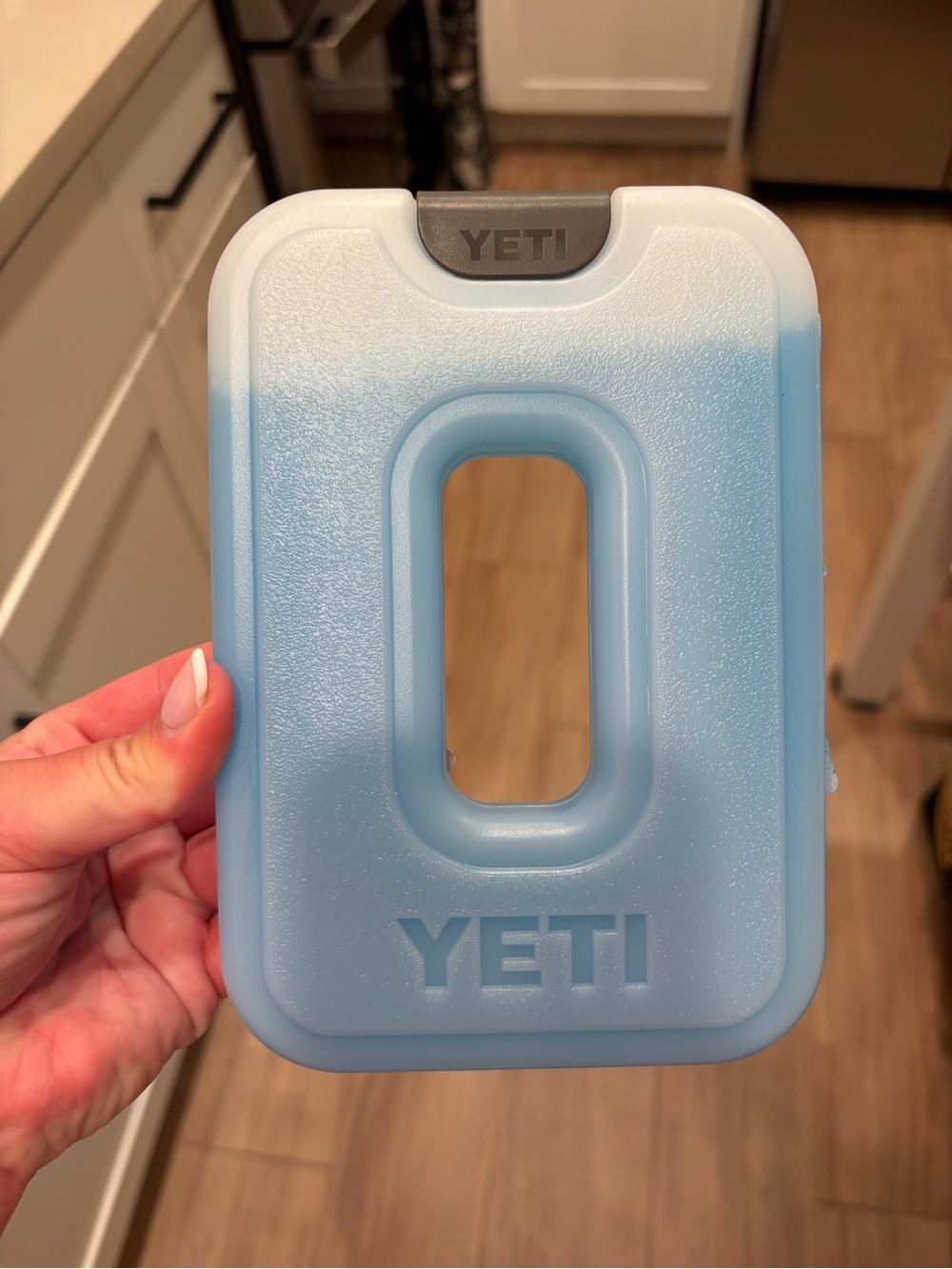 YETI NWT ice pack